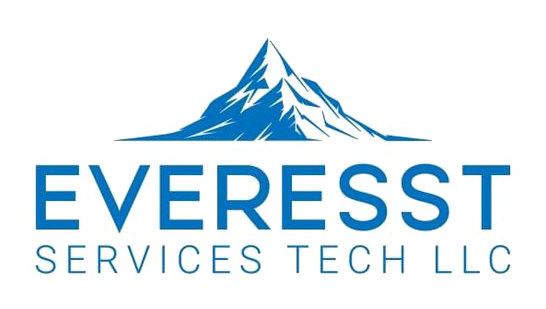  Everesst Services Tech Llc logo