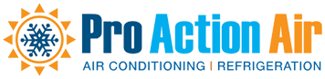  Pro Action Air logo