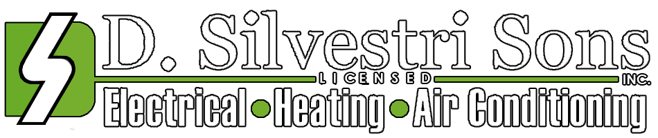  D Silvestri & Sons Inc logo